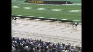 Belmont Park  Super Saturday 1993 [upl. by Kile]