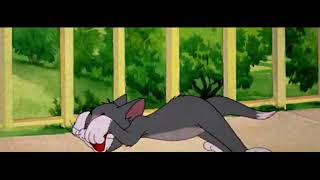 Tom and Jerry  Springtime For Thomas 1946 1959 Titles Sequence CinemaScope [upl. by Chrissy]