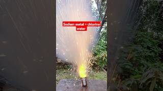 Sodium metal chlorine water nacl 😳💥ytshorts facts experiment chemistry viralvideo science [upl. by Hgielar]