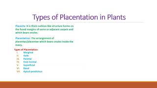 Types of Placentation In Plants [upl. by Rehpotsirhc]