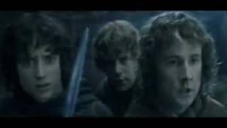 Lord of the Rings  Fellowship of the Vuvuzela Portuguese Subs [upl. by Verla]