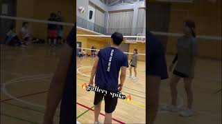 ギャラリースパイク🔥 しっかり自分で拾いに行きます。バレーボール haikyuu バレー vリーグ volleyball volley 埼玉 sagas shorts [upl. by Castillo]