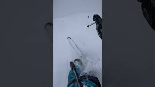 Deep white freeride powder snow freeski freerideski livigno shorts powderday [upl. by Nosral]