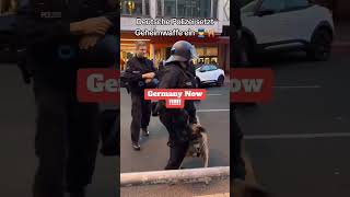 Polizeihunde im Einsatz 👮‍♂️🐕‍🦺🇩🇪 Meinung [upl. by Ainna135]