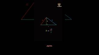 Class 10th triangles  trigonometry ssc ytshorts bpsc [upl. by Ailedroc936]