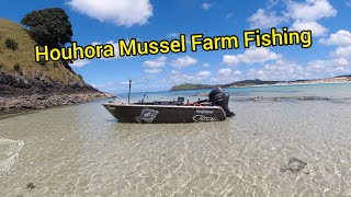 Houhora Mussel Farm Fishing With Nova [upl. by Yrakaz]