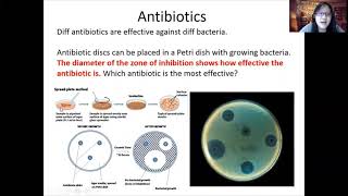 Chapter 10 Part 2  Antibiotics and Antibiotic Resistance  Cambridge ALevel 9700 Biology [upl. by Pucida]