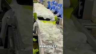 Aloe vera gel making process [upl. by Lahcar]