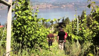 BC Winegrowers Series  Summerhill Pyramid Winery [upl. by Garrett]