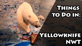 A few things to do in Yellowknife NWT [upl. by Ezmeralda]