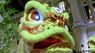 MGM Lion Guinness big lion dance [upl. by Hyams477]