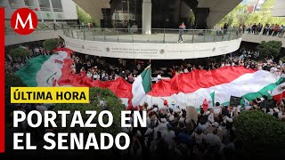 Manifestantes ingresan al Senado buscan suspender la discusión sobre la reforma judicial [upl. by Nairdna]