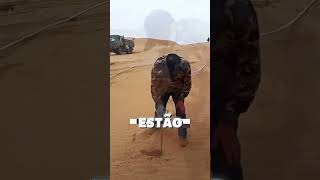 DESERTO EM FLORESTA curiosidades interessante shorts short [upl. by Reffinnej844]