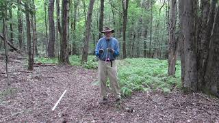 Secrets to Working With Dowsing RodsWith Tips and Exercises [upl. by Sakhuja236]