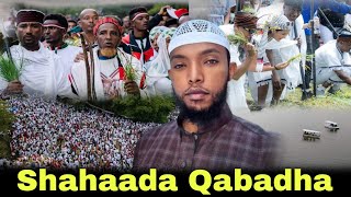 Gingilchaa Warii Irreecha Dheyixan Shahaada Qabadhaa ustaz muaz nazif ShahaadaQabadha [upl. by Gerta]