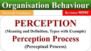 Meaning of Perception perception process perceptual process ob organisational behaviour [upl. by Atteynod871]