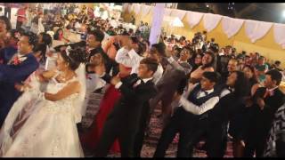 Wedding line dance on Wobble [upl. by Oderfodog]