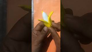 Easy Origami  20 teaches You How to make a banana origami DIY tutorial shorts [upl. by Skillern583]