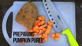 Preparing pumpkin puree with Autumnz Baby Food Processor [upl. by Basso976]