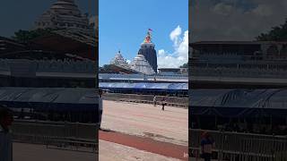 Puri Jagannath Temple ✨ 🙏❤️Odisha ❤️Jay Jagannath 🙏 [upl. by Bedelia]