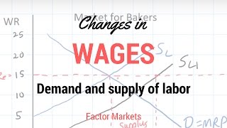 Labor Markets  Change in in Equilibrium Wage Rate and Level of Employment [upl. by Jump339]