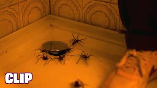 INFESTED Vermin2024 CLIP quotDrain Infestationquot HD FRENCH SPIDER HORROR [upl. by Remas]