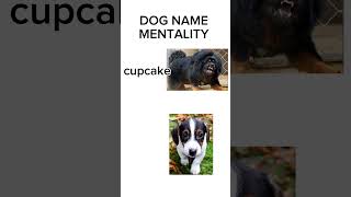 Dog name mentality be like [upl. by Bordy]