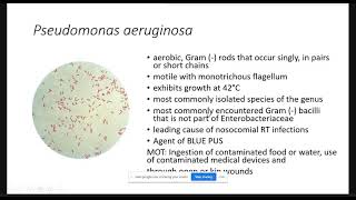 Non Fermentative Gram Negative Bacilli [upl. by Svensen]