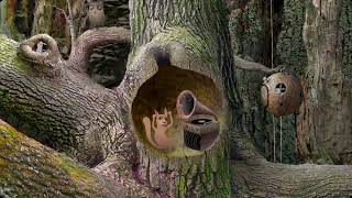 Samorost 1 Gameplay [upl. by Kieffer922]