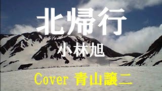 「北帰行」小林旭 cover青山譲二 [upl. by Luttrell]