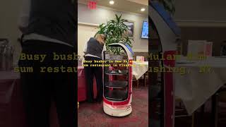 Busy busboy in New Mulan dim sum restaurant in Flushing NY [upl. by Jessee]