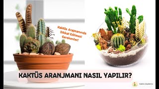 KAKTÜS ARANJMANI YAPIMI  NELERE DİKKAT EDİLMELİ [upl. by Navarro508]