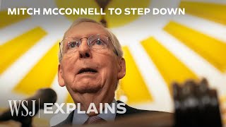 Mitch McConnell How the Senate Leader Leveraged His Power Over 17 Years  WSJ [upl. by Erodasi83]