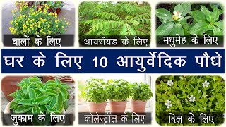 घर के लिए 10 आयुर्वेदिक पौधे Basic medicinal or Ayurvedic plant you must keep at Home [upl. by Griffy671]