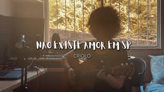 NÃO EXISTE AMOR EM SP  Criolo Cover de AMARINA [upl. by Sihonn]