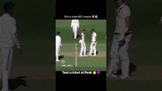 song newsong music dj böllerverbot cricketlover love cricket attitude edit [upl. by Harold372]