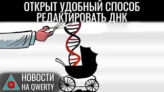 Баф на привлекательность Новый метод редактирования генома Мышление без языка Новости QWERTY №306 [upl. by Enirehtakyram]