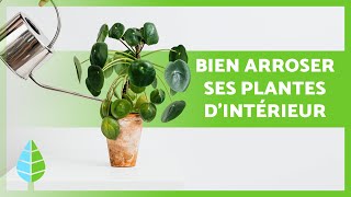 Comment ARROSER ses PLANTES dintérieur 🌸💧  Astuces dEXPERTS pour ne pas TUER vos PLANTES ⚠️ [upl. by Enilrae]