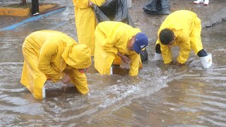 Street Drainage Solutions for Big Flood Clearing Blocked Storm Drains [upl. by Liam468]