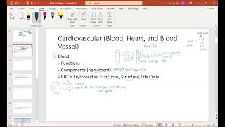 AampP Exam III Review WNT24 [upl. by Durwyn312]