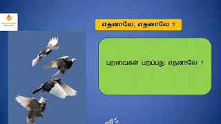 Grade5Term 2 Tamil Ethanale ethanale part2 Lesson [upl. by Soilisav]