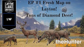 Fresh Start on Layton Lake Lots of Diamond Bucks  theHunter Call of the Wild [upl. by Granoff804]