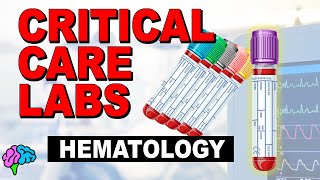 Hematology  Complete Blood Count CBC  Critical Care Labs [upl. by Damek]