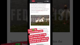 Fact ✅ 911 Phone call about immigrants and geese [upl. by Aicilra]