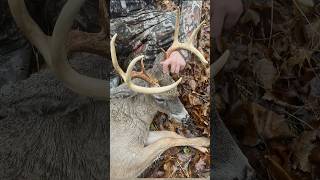 Is Your Broadhead Choice Hurting Your Deer Hunting Success deerhunting bowhunting [upl. by Fisch]