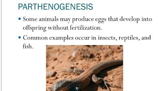 Parthenogenesis types and Significance [upl. by Kacey]