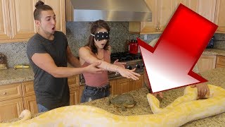 GIANT PYTHON SURPRISE DATE PRANK SHE FREAKED OUT [upl. by Aikemat401]