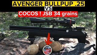 RIFLE DE AIRE VS COCOS prueba de penetracion pcp tirodeportivo [upl. by Yung24]