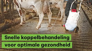 Klauwproblemen aanpakken mbv de Pro Sprayer klauwspuit  BoerENverstand [upl. by Lavicrep]