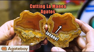 Epic colors 😍 Cutting insane La Manea Agates from Pataginia 4K [upl. by Keifer]